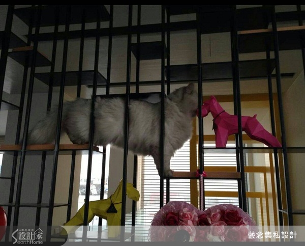 在現今的社會，也有愈來愈多家庭選擇與寵物一起生活，